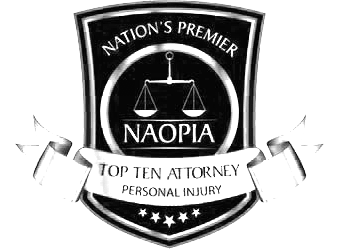 Nation's Premier Top Ten Attorney NAOPIA Badge